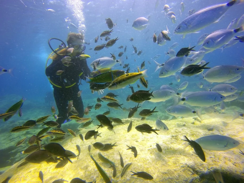 scuba