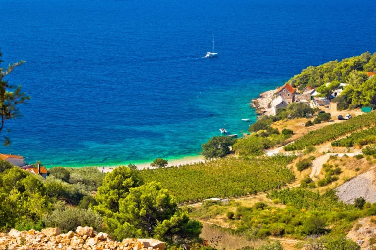 The Wonderful Wine Regions of Croatia