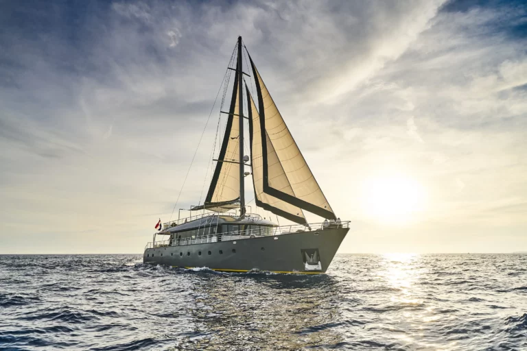 Rara Avis O 79 (1)